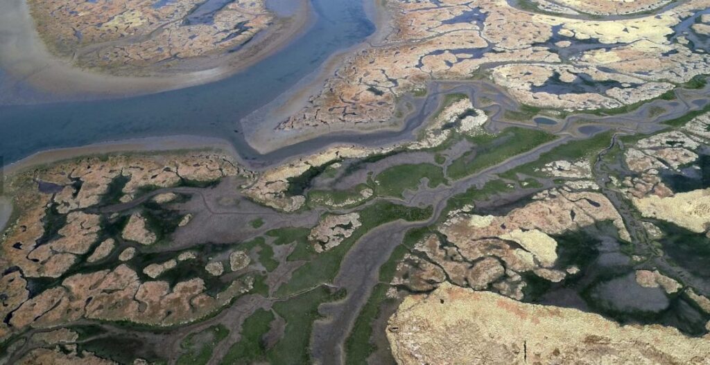 the fraser estuary arial shot